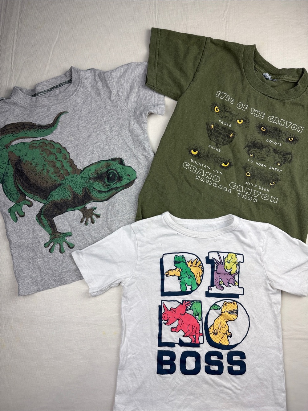 Boy's T-shirt Bundle Reptile Gray Grand Canyon Green White Dino 4T